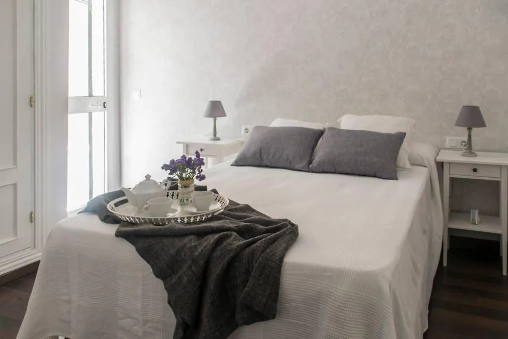 New!!! Luxury City Center & Private Terrace Malaga Apartment