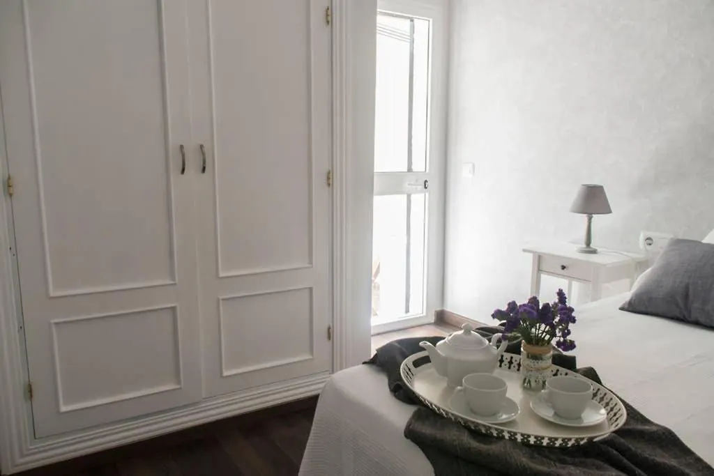New!!! Luxury City Center & Private Terrace Malaga 0*,  Spain
